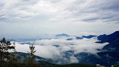 Landscapes fog nature Mountains clouds houses paths tee garden