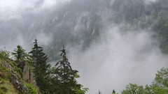 Landscapes fog nature Mountains forests