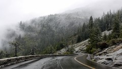 Landscapes fog nature roads forests