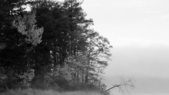 Landscapes fog nature snow winter