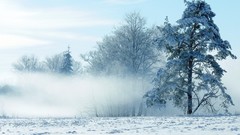 Landscapes fog nature snow winter