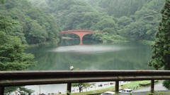 Landscapes fog nature summer Bridges lakes forests