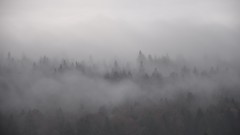 Landscapes fog nature Trees clouds forests