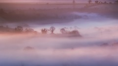 Landscapes fog nature Trees dawn Britain mist fields