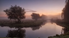 Landscapes fog nature Trees dawn United Kingdom reflections 
