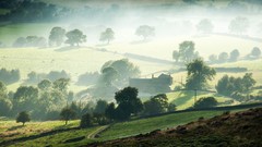 Landscapes fog nature Trees farm valleys