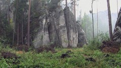 Landscapes fog nature Trees grass rocks forests