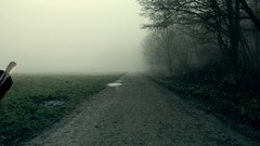 Landscapes fog nature Trees horror fields slender horror game 