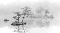 Landscapes fog nature Trees Islands Kyoto lakes mystical