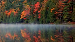 Landscapes fog nature Trees land lakes mist rivers forests