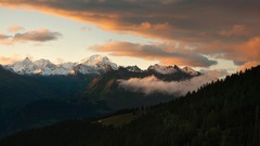Landscapes fog nature Trees Mountains