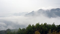 Landscapes fog nature Trees Mountains clouds