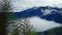 Landscapes fog nature Trees Mountains clouds