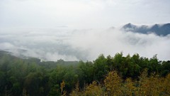 Landscapes fog nature Trees Mountains clouds farm