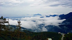 Landscapes fog nature Trees Mountains clouds houses paths tee 