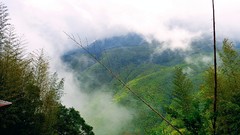 Landscapes fog nature Trees Mountains clouds houses skies