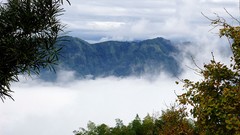 Landscapes fog nature Trees Mountains clouds skies