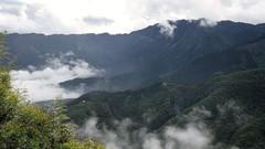 Landscapes fog nature Trees Mountains clouds skies