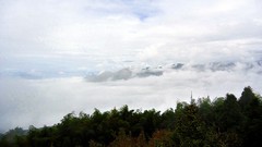 Landscapes fog nature Trees Mountains clouds skies