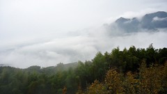 Landscapes fog nature Trees Mountains clouds skies