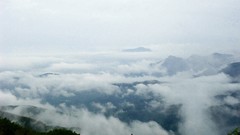 Landscapes fog nature Trees Mountains clouds skies