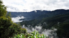 Landscapes fog nature Trees Mountains clouds skies