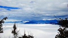 Landscapes fog nature Trees Mountains clouds skies