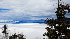 Landscapes fog nature Trees Mountains clouds skies