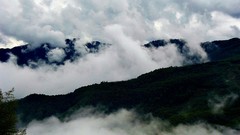 Landscapes fog nature Trees Mountains clouds skies