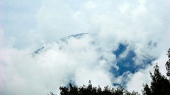 Landscapes fog nature Trees Mountains clouds skies