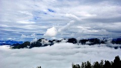 Landscapes fog nature Trees Mountains clouds skies
