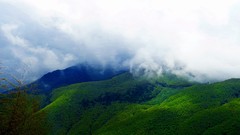 Landscapes fog nature Trees Mountains clouds sunlight skies