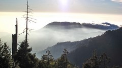 Landscapes fog nature Trees Mountains clouds Taiwan mist 