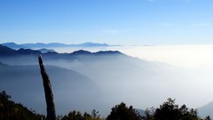 Landscapes fog nature Trees Mountains clouds Taiwan skies 