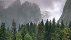 Landscapes fog nature Trees Mountains forests skylines