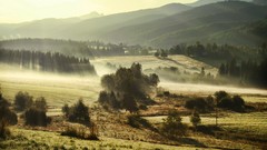 Landscapes fog nature Trees Mountains hills mist fields sunlight