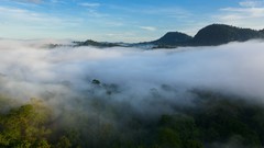 Landscapes fog nature Trees Mountains mist