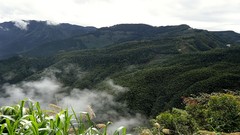 Landscapes fog nature Trees Mountains skies