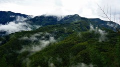 Landscapes fog nature Trees Mountains skies