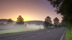 Landscapes fog nature Trees roads fences paths farms