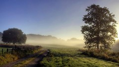 Landscapes fog nature Trees roads fences paths farms