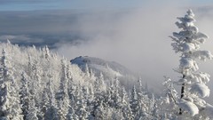 Landscapes fog nature Trees snow Mountains