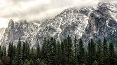 Landscapes fog nature Trees snow Mountains clouds California 