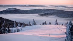 Landscapes fog nature Trees snow winter clouds forests skyscapes