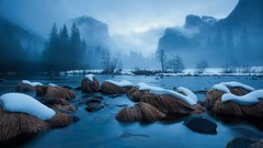 Landscapes fog nature Trees snow winter water