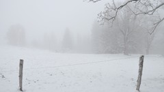 Landscapes fog nature Trees snow winter white fences
