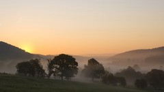 Landscapes fog nature Trees sun skies