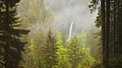 Landscapes fog nature Trees water Green waterfalls forests 