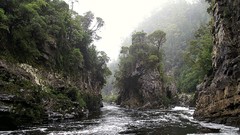 Landscapes fog nature Trees water hills rocks national park 