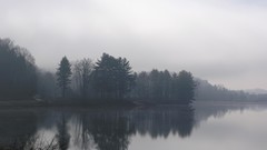 Landscapes fog nature Trees water lakes